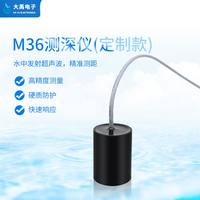 M36测深仪（定制款，ABS外壳）
